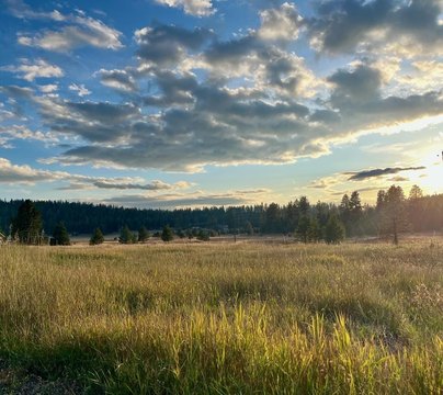 McCall Land Near Recreation