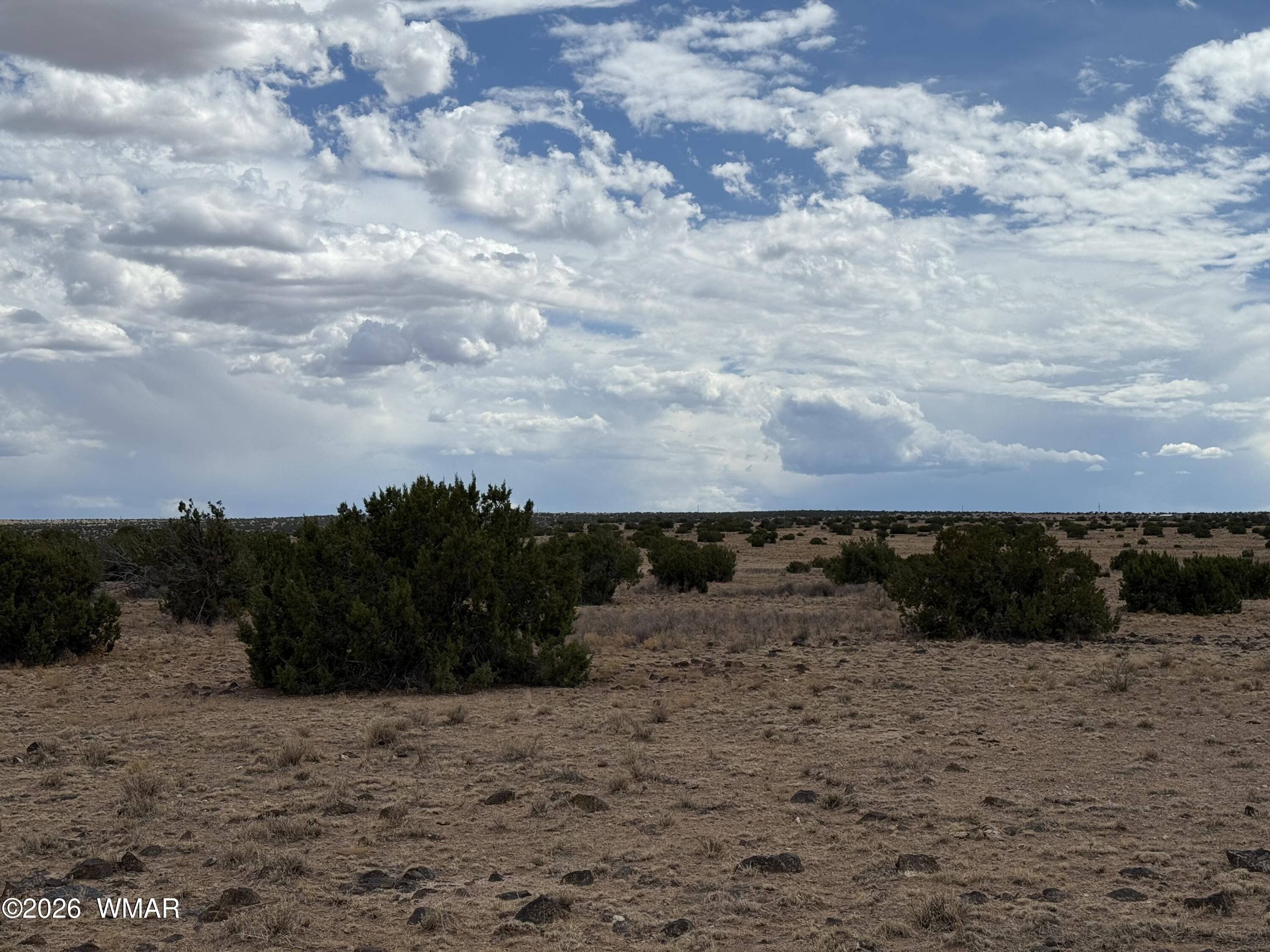 Affordable Acreage Near St. Johns