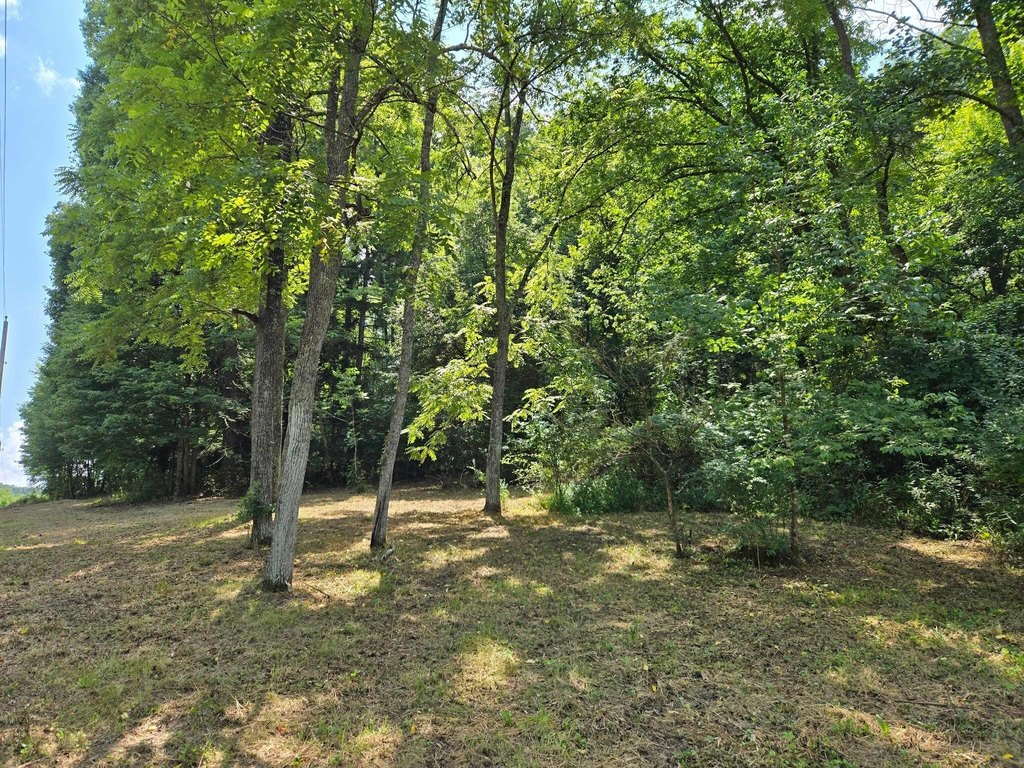 Picture 8