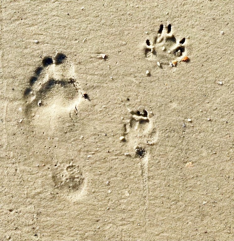 Picture 17