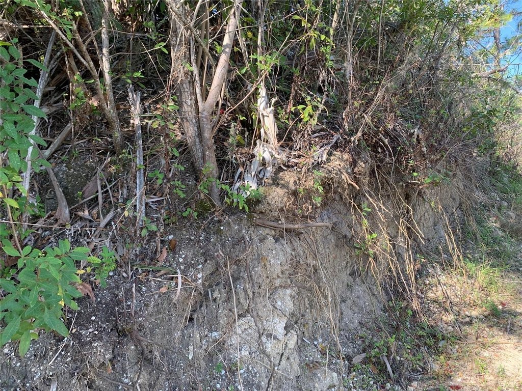 Picture 15