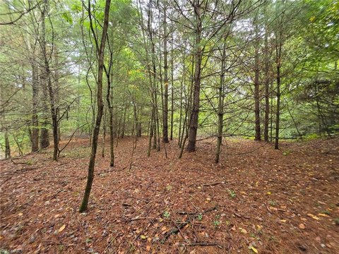 Land, Todd, NC