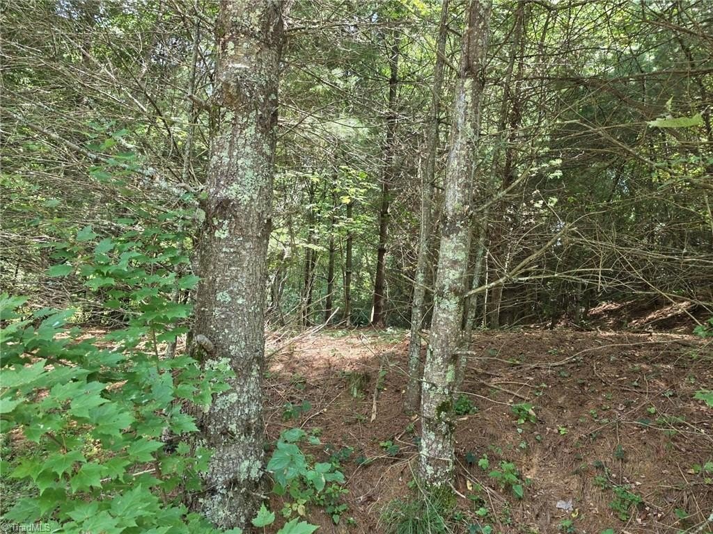 Picture 8