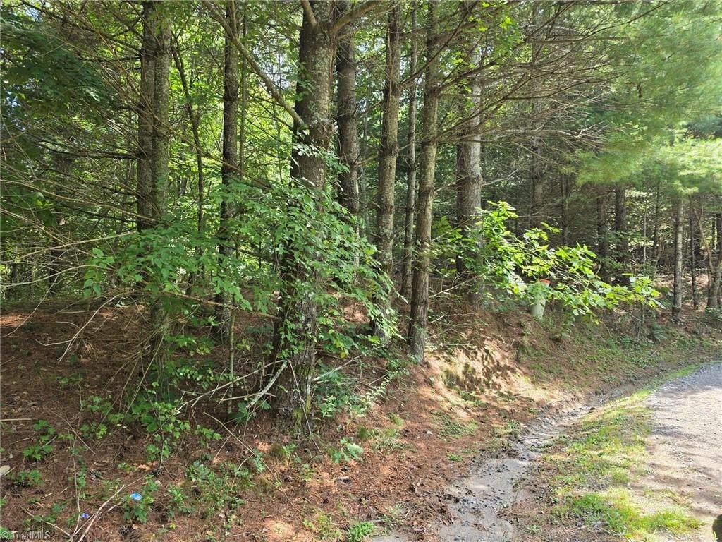 Picture 7