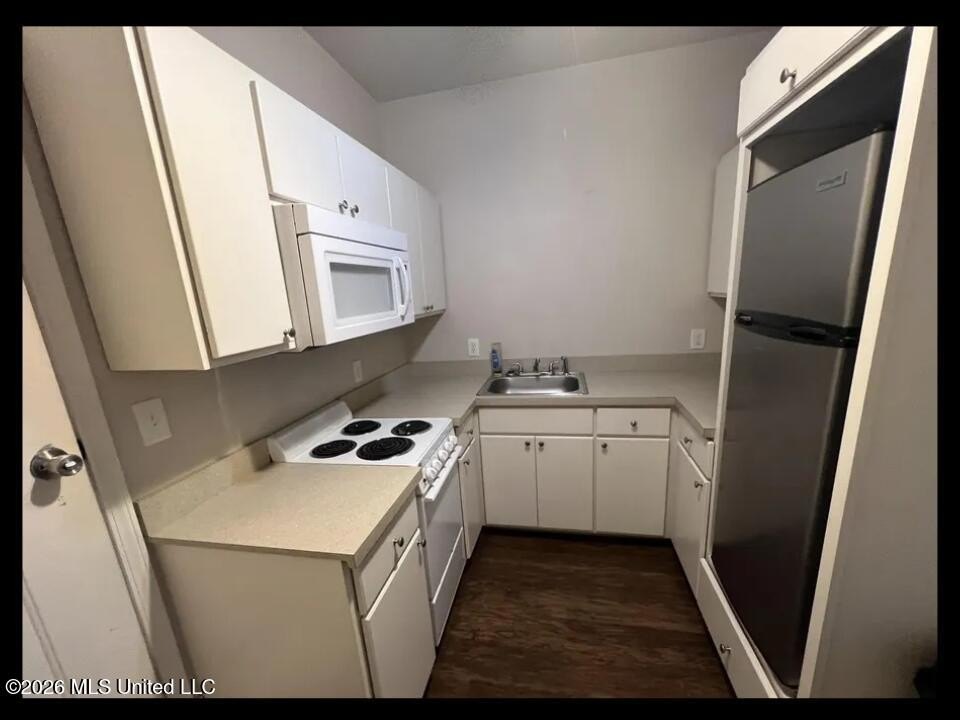 Picture 19