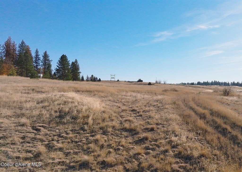 Picture 46