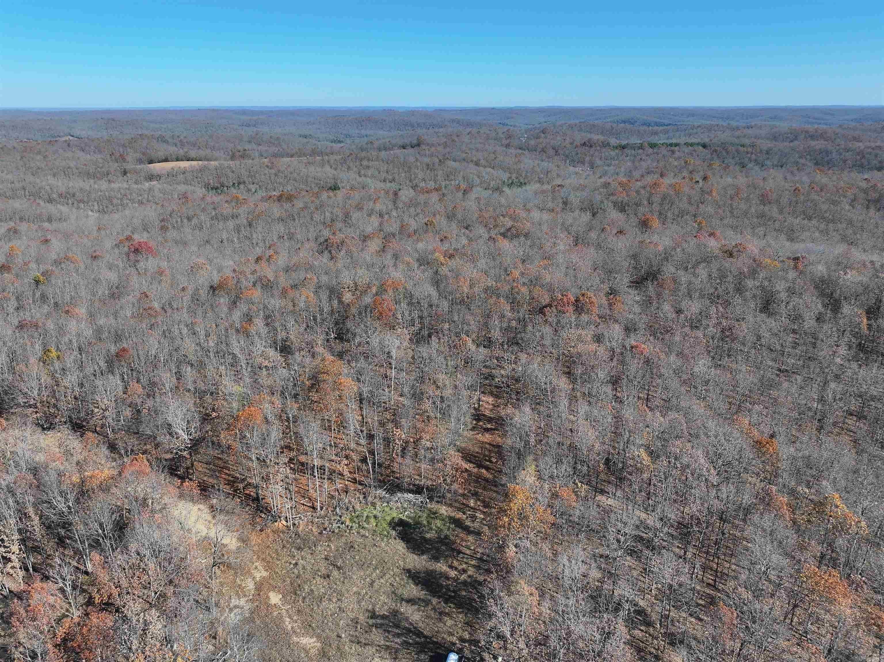 Recreational Land with Hunting Potential