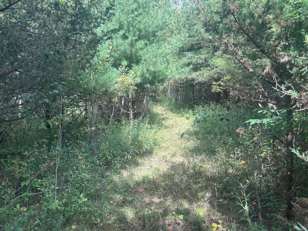 Picture 18