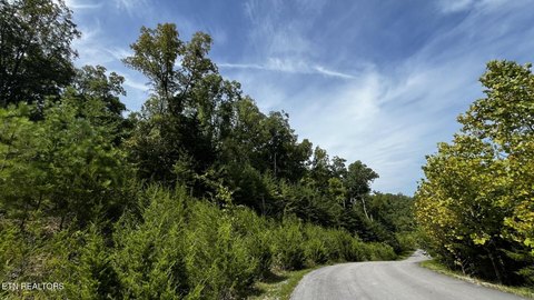 Lots & Acreage, Sevierville, TN