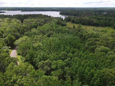 Wooded Recreational Land Parcel