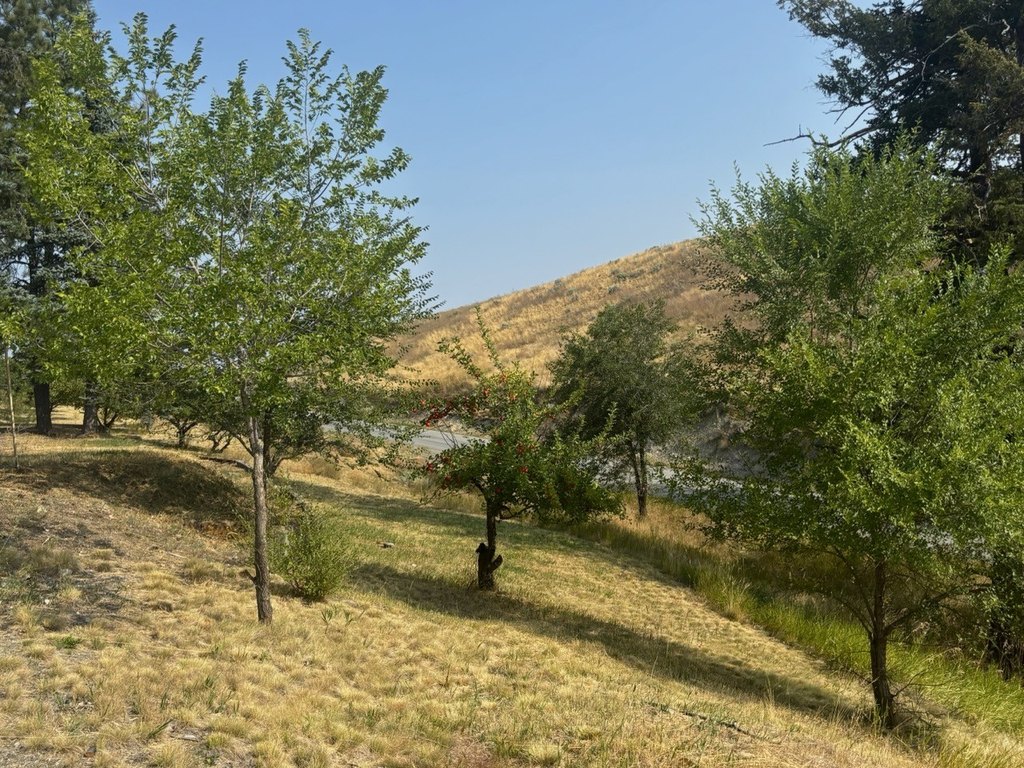 Picture 49