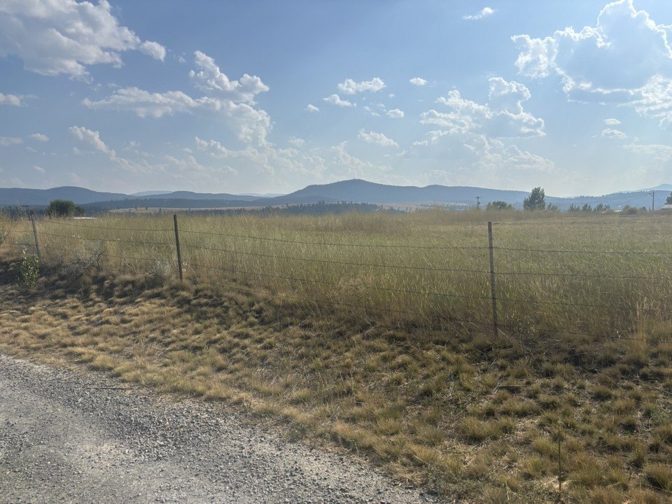 Picture 48