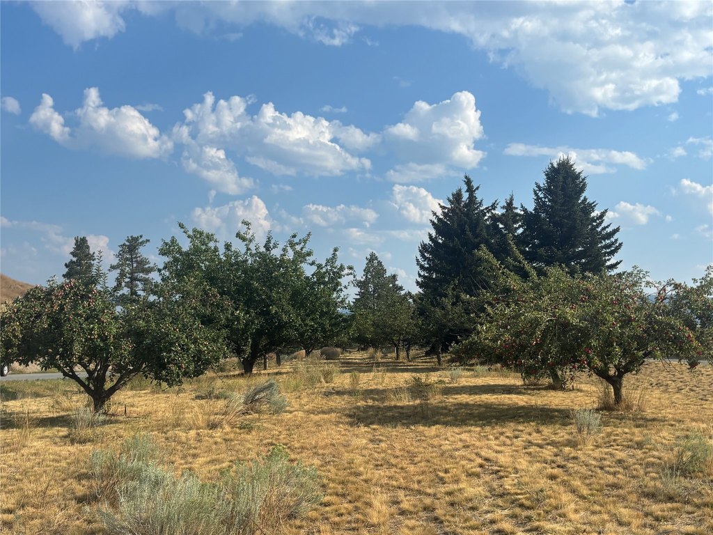 Picture 30