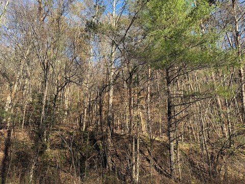 Ellijay, GA Acreage For Sale
