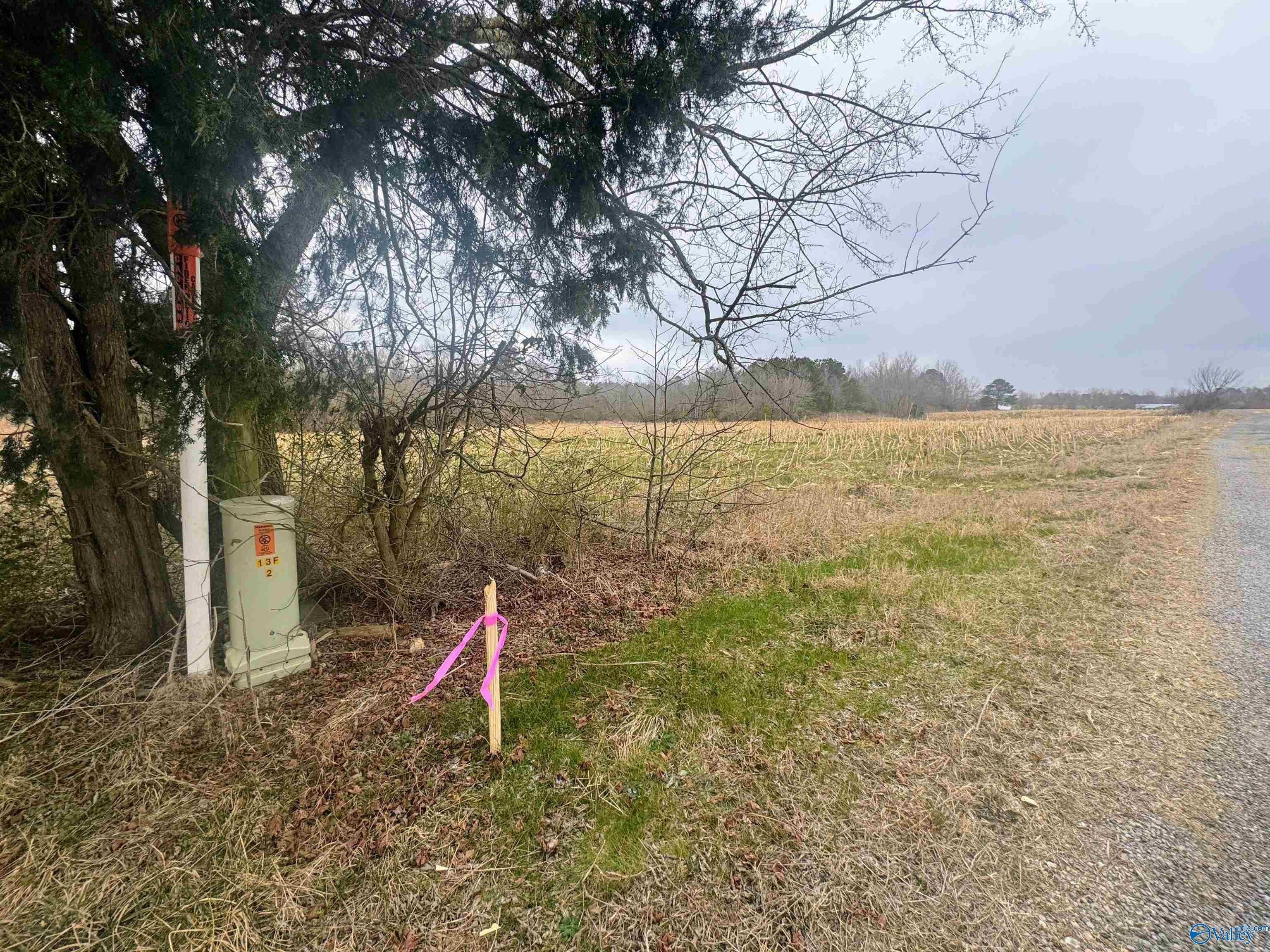 30 Acres in Section, AL