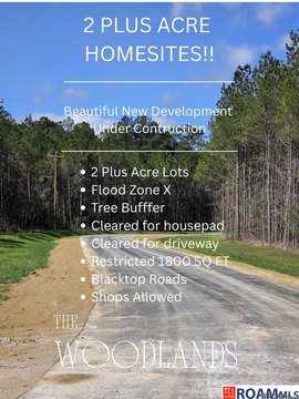 Livingston Land with Cleared Homesite