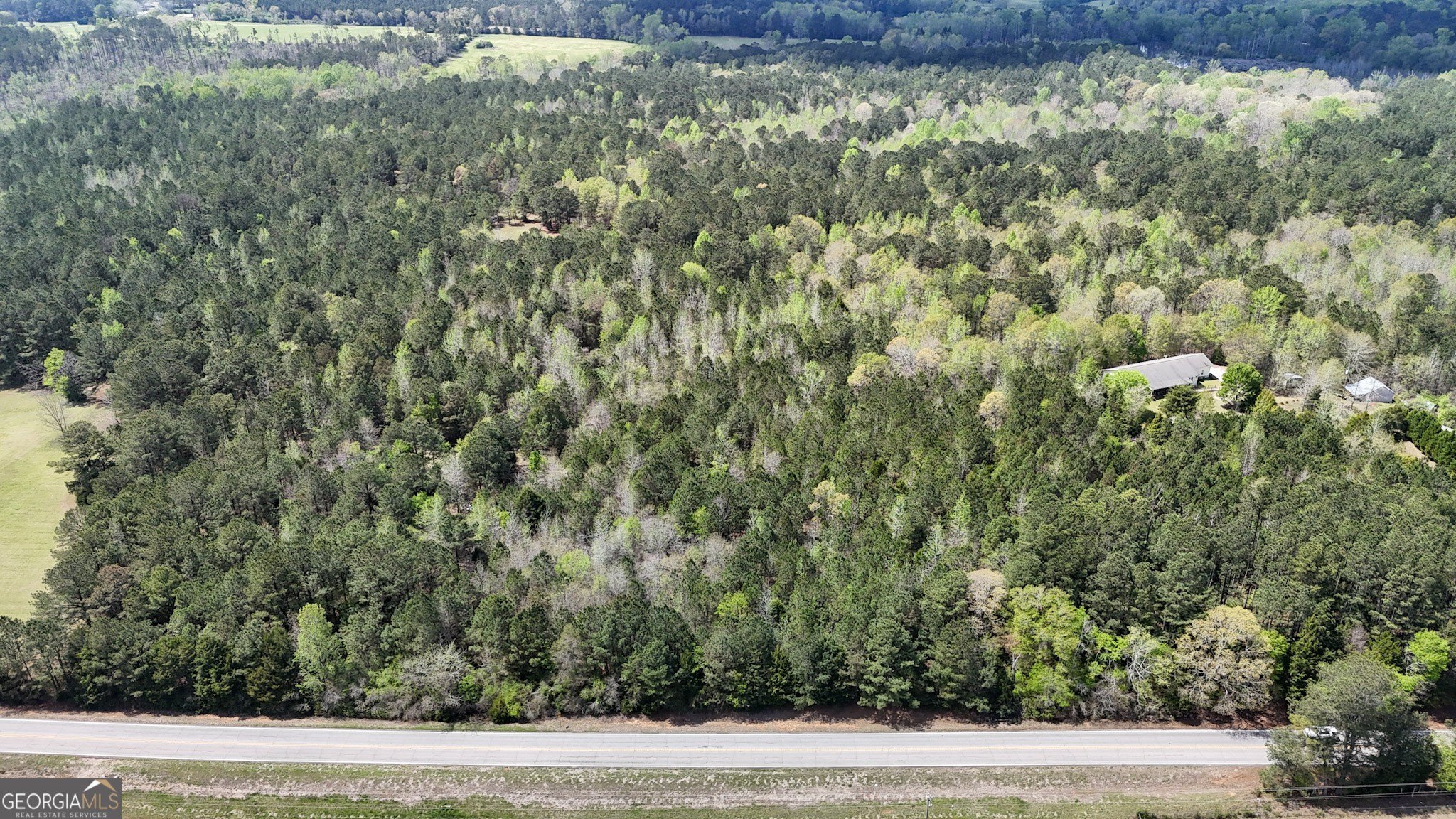 Pine Mountain Wooded Land Parcel