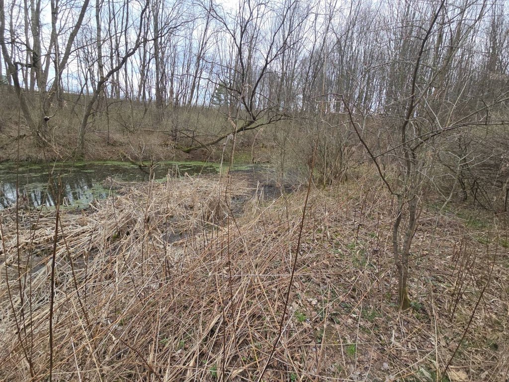 Picture 13