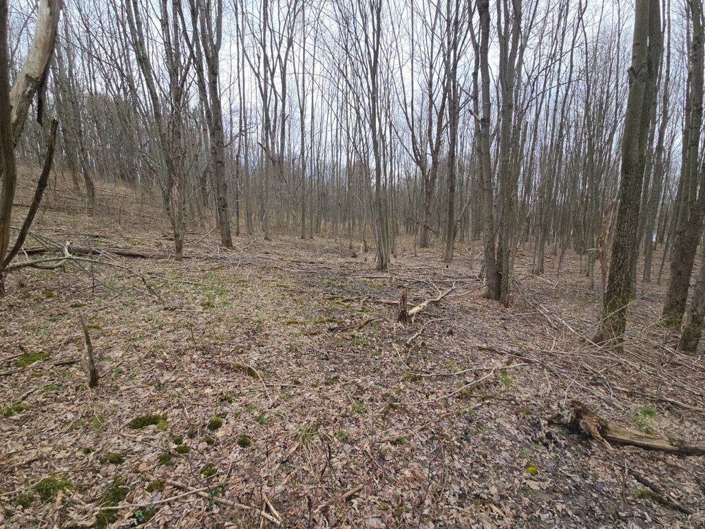 Picture 21