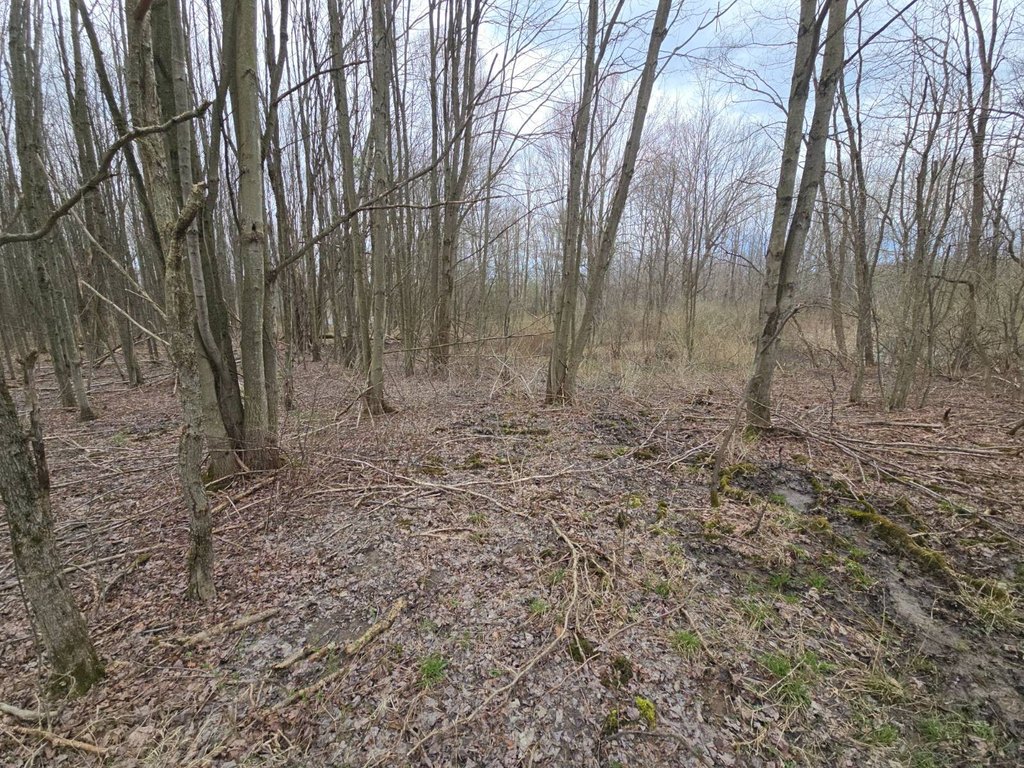 Picture 20
