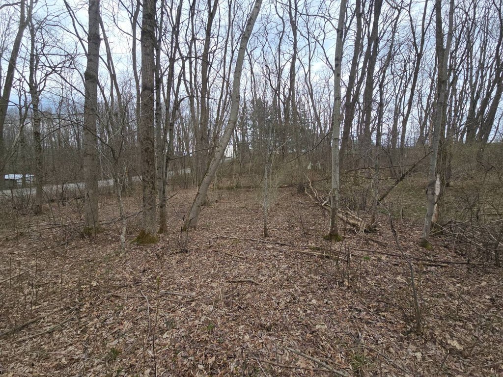 Picture 8