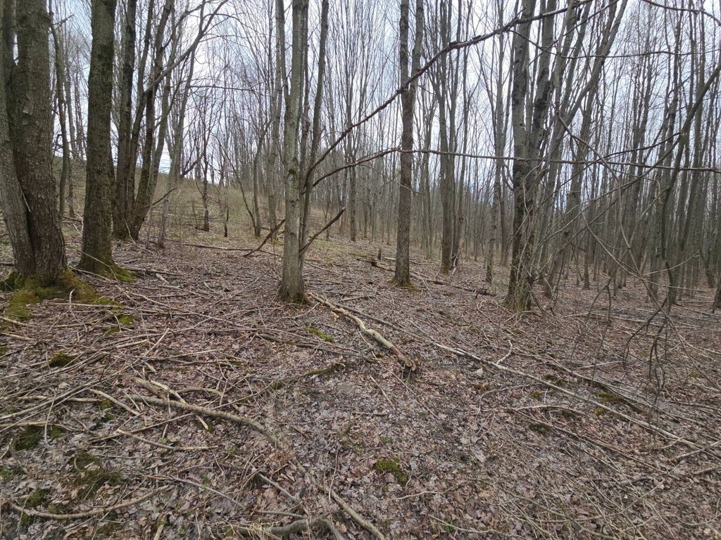Picture 19