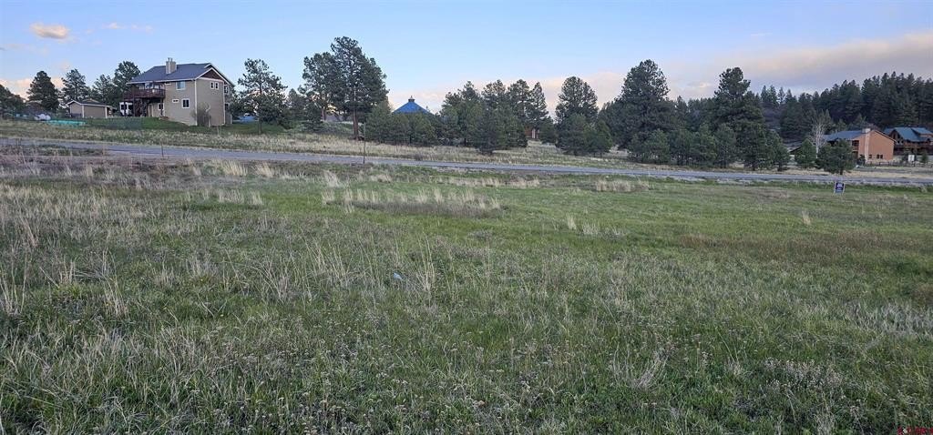 Picture 15