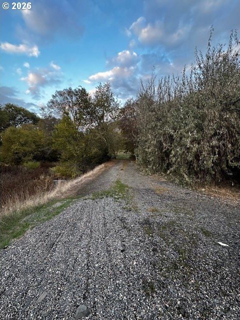 Picture 6