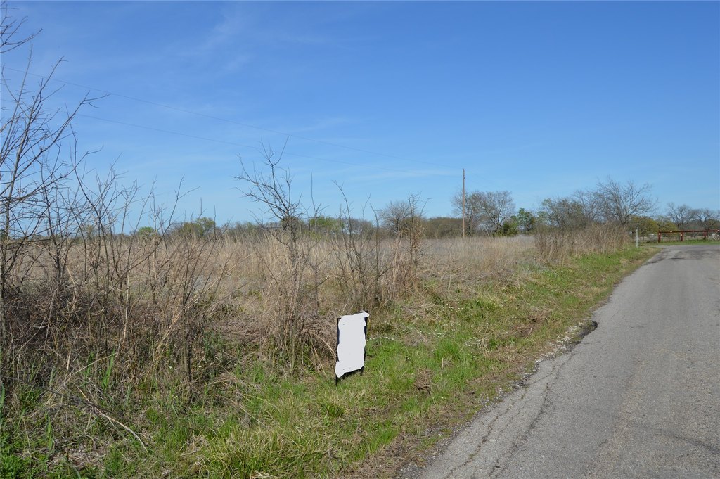 Picture 23