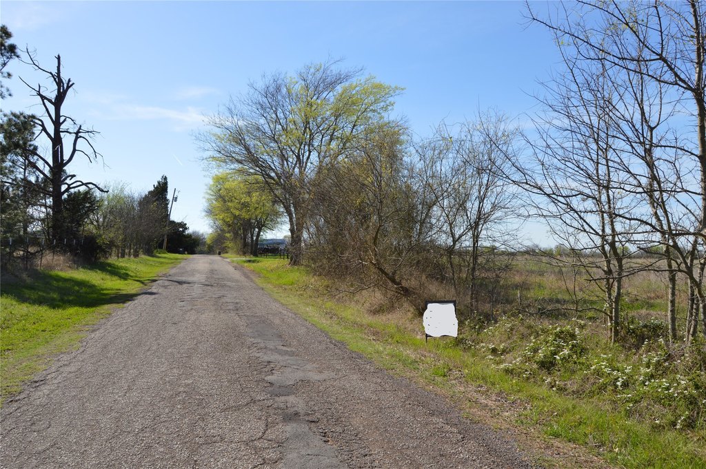 Picture 19