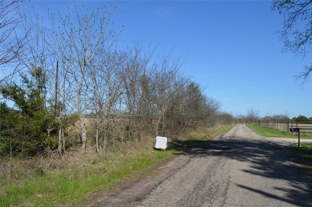Picture 15