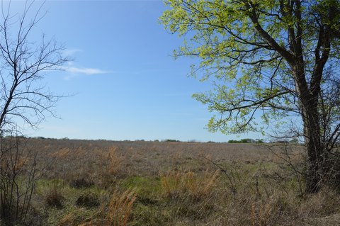 Country Homesite and Pasture Land