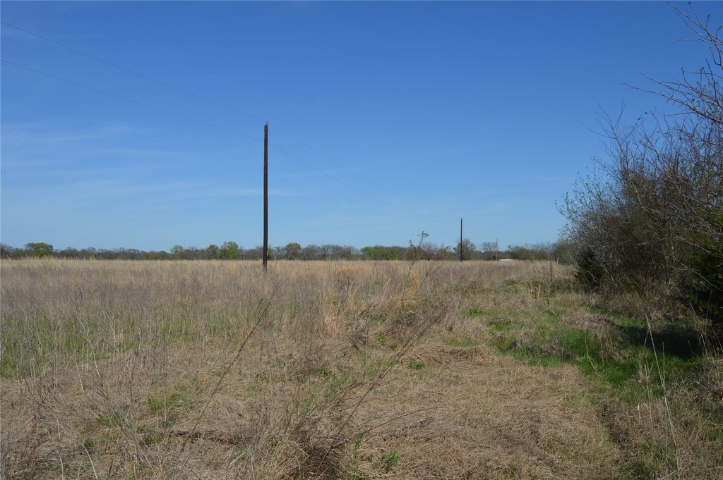 Picture 24
