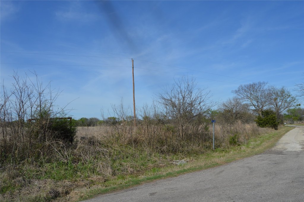 Picture 12