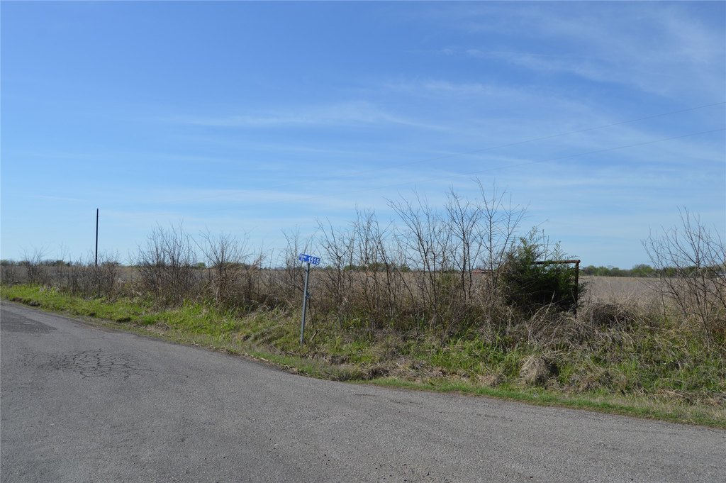 Picture 11