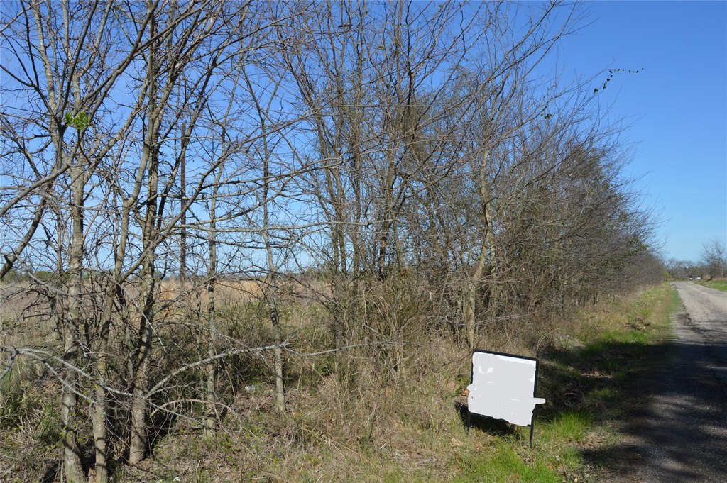 Picture 20