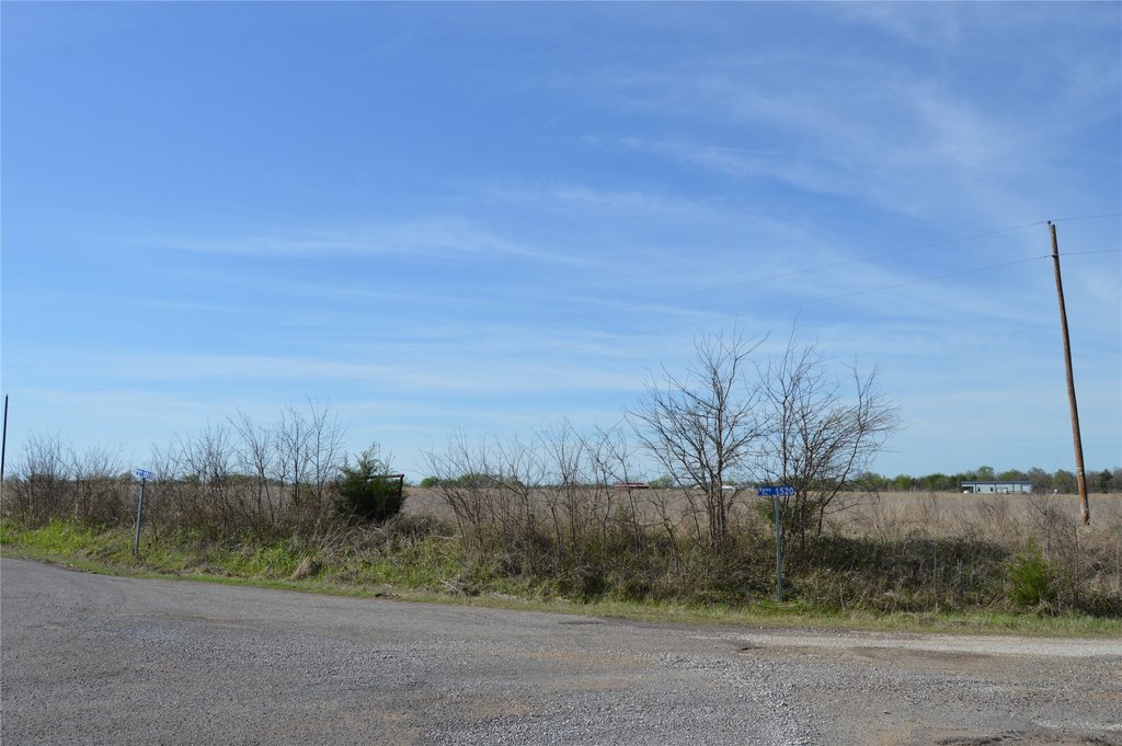 Picture 8
