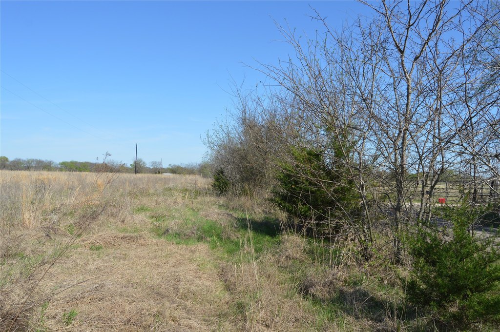 Picture 25
