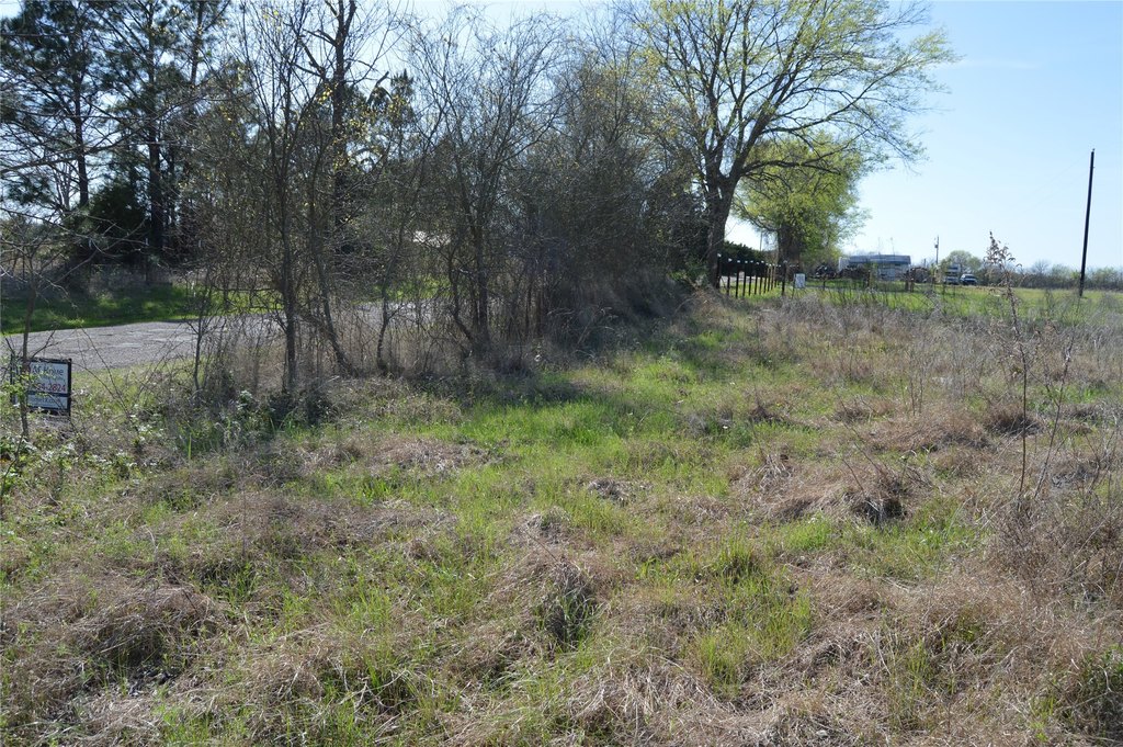 Picture 21