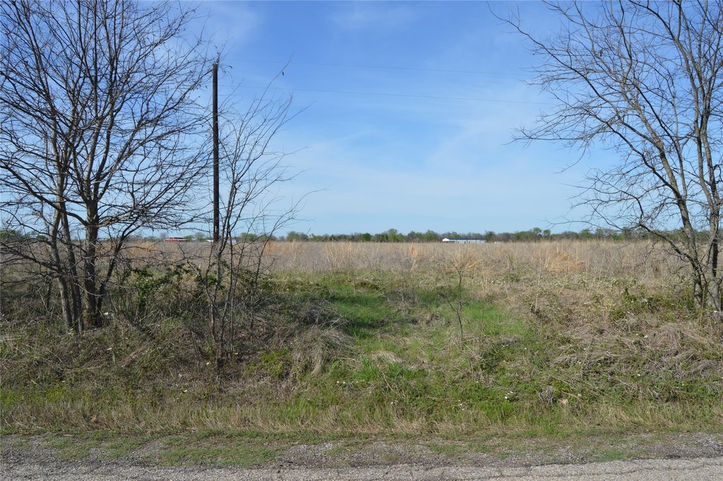 Picture 17