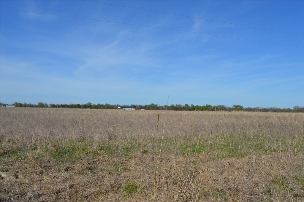 Picture 22