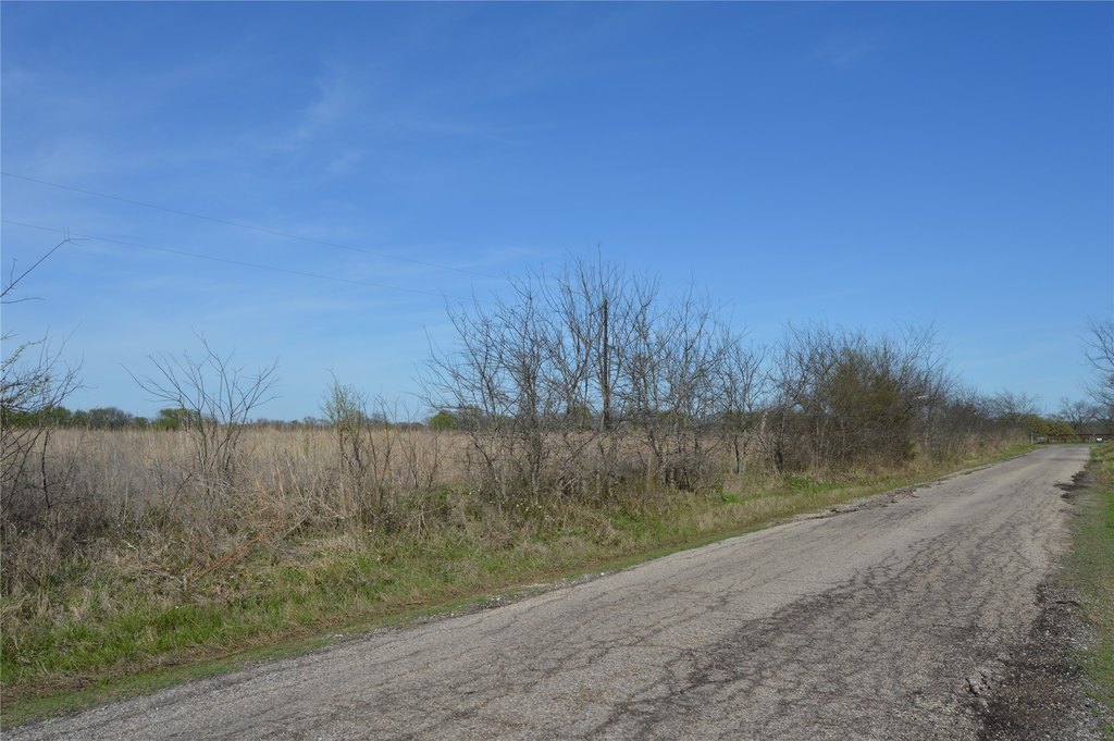 Picture 16
