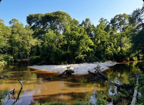 Carriere Land with Creek Frontage