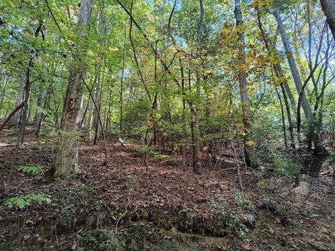 Basement Build Lot with Driveway