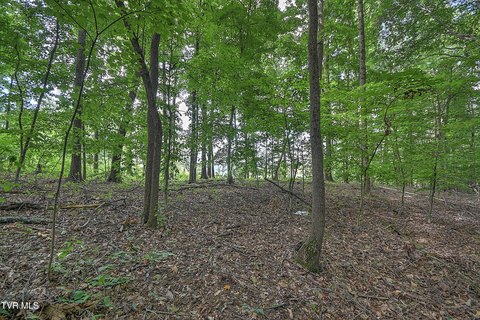Residential Land in Church Hill