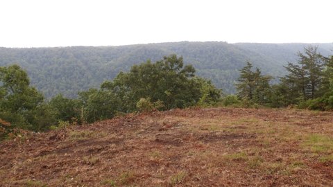 LAND - Wilder, TN