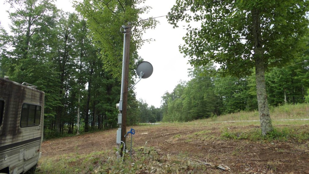 Picture 8