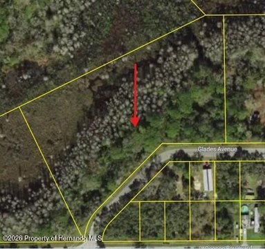 Land, New Port Richey, FL