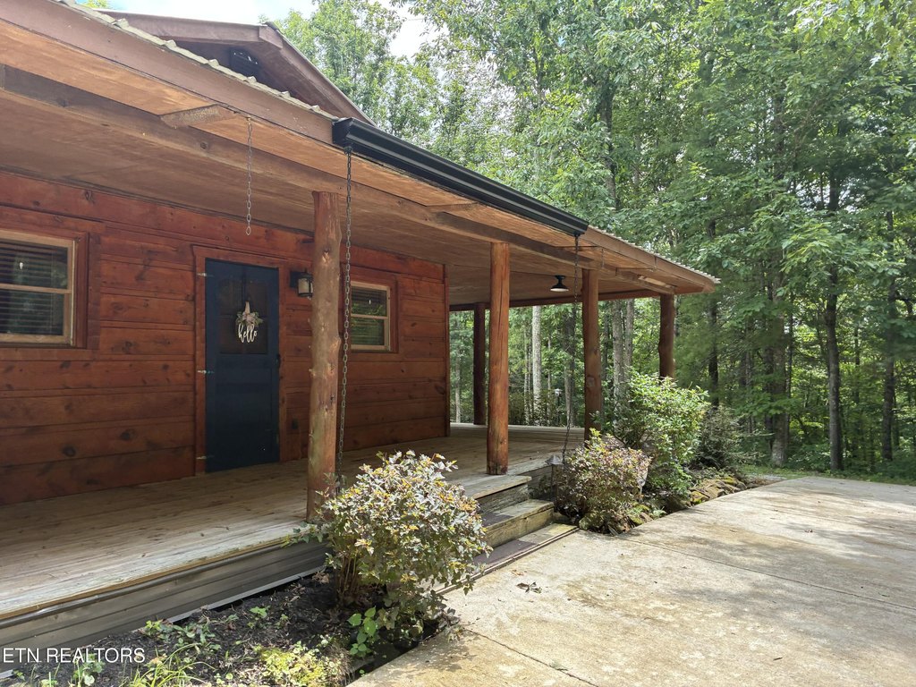 Picture 5