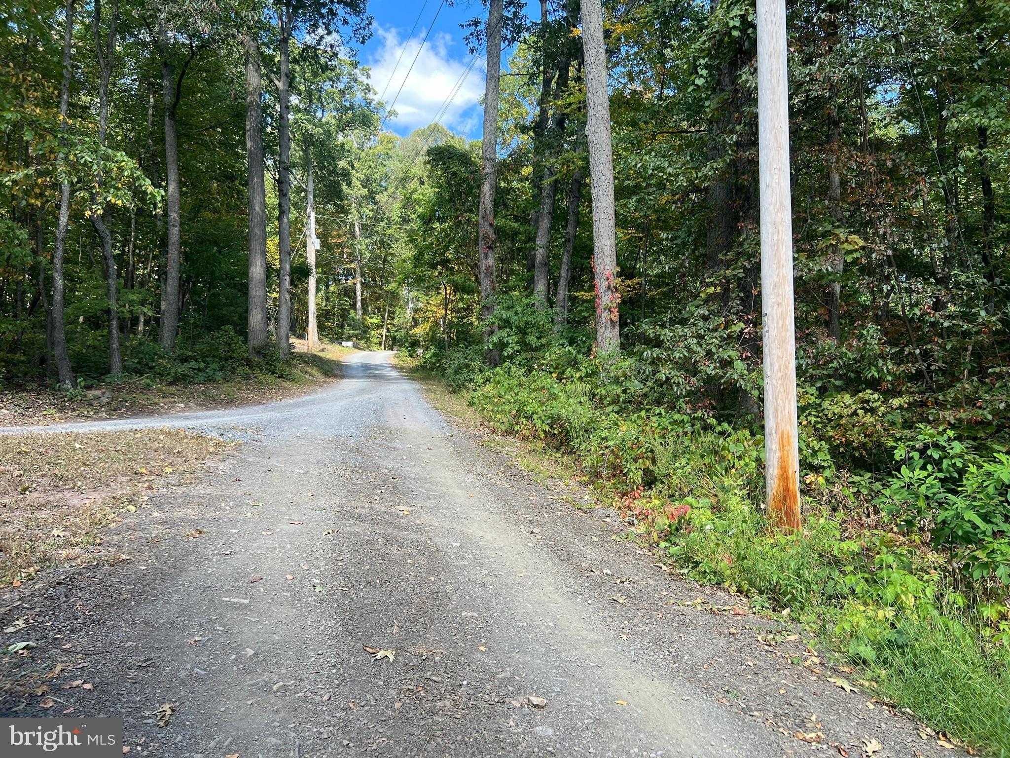 Acre Lot Near State Forest